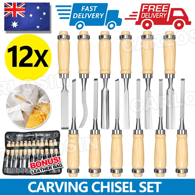 12 PIECE WOOD Carving Hand Chisel Tool Kit Set Wood Working Whittling ...