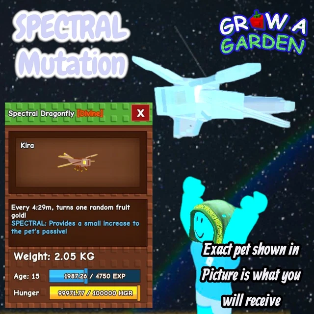 How To Get Dragonfly In Grow A Garden Roblox | Beebom - Foto 10