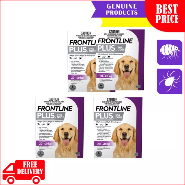 Frontline Plus 3,6,12 Pipettes for Flea and Tick Control 20 to 40 Kg Dogs PURPLE