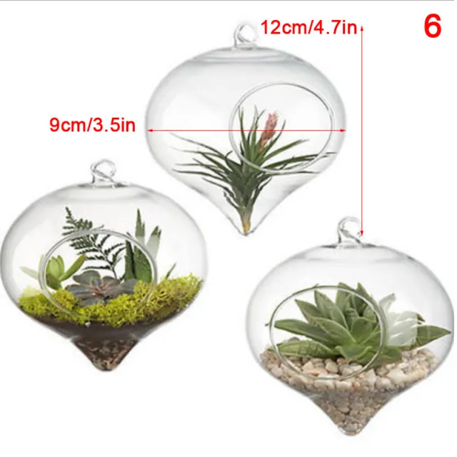 Hanging Transparent Ball Glass Flower Planter Vase Terrarium Landscape Container