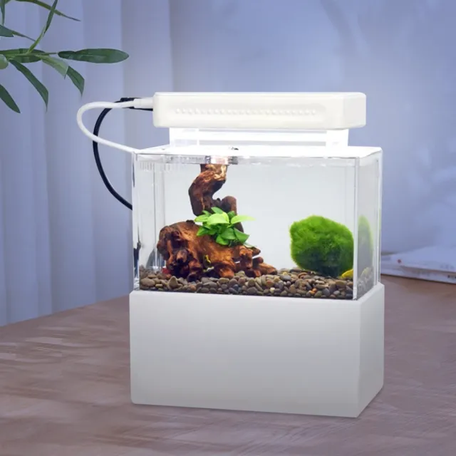 Creative Mini Fish Tank Desktop Aquarium w/Water Filtration LED Quiet Air Pump