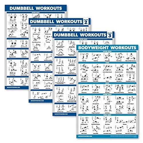 Palace Learning 4 Pack - Dumbbell Workout Posters Volume 18" x 24", LAMINATED
