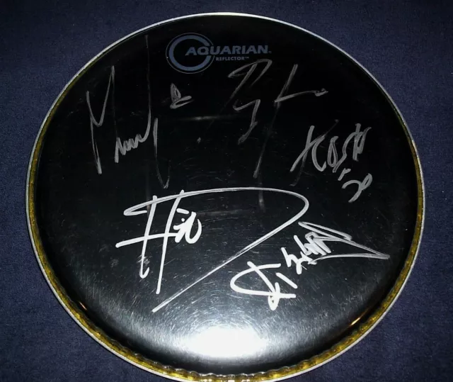 Korn Signed Drum Head Aquarian All 4 Members! Head Monkey Fieldy And Ray Proof!!