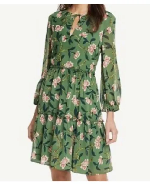 ANN TAYLOR Women Size 12 Green Floral V Neck Long Sleeve Fit & Flare Dress NWOT