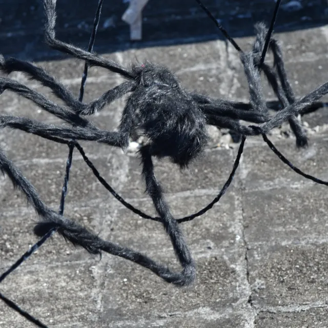 (black)Halloween Spider Webbing Polyester Fiber Spider Web Elastic Triangular