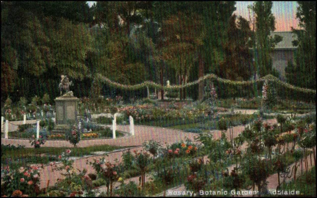 A3616 Australia SA Botanic Gardens Rosary Adelaide PUc1905 vintage postcard