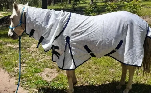 Summer combo horse rugs