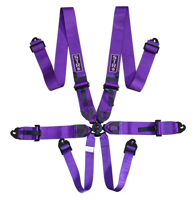 Purple 6-Point Race Harness FIA 8853-2016 2028 Safety Seat Belt IVA Safe - STR