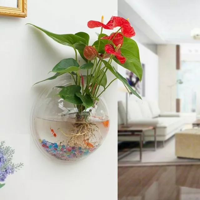 Acrylic Wall Mounted Hanging Fish Bowl Aquarium Tank Goldfish Hanger Plants Arts 2