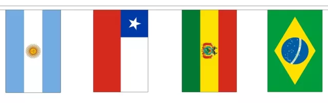 SOUTH AMERICAN NATIONS BUNTING 5 metres 12 flags Polyester flag BRAZIL ARGENTINA