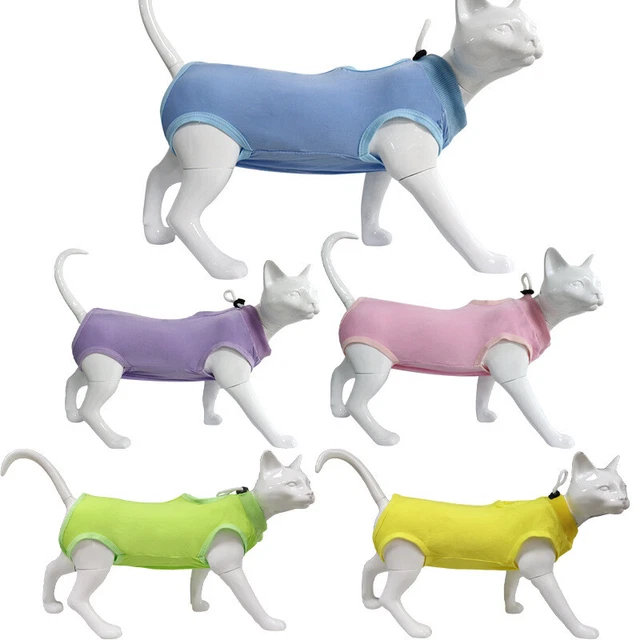 Combinaison Post-opératoire Pour Chat – Taille S, Fibre Modal – Pour Stérilisation, Protection De Plaies – Fermeture Pression, Lavable En Machine