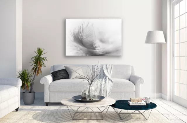 Feather Black White Abstract Canvas Print Wall Art Picture Home Decoration