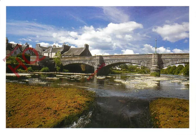 Picture Postcard-:Creebridge, Newton Stewart