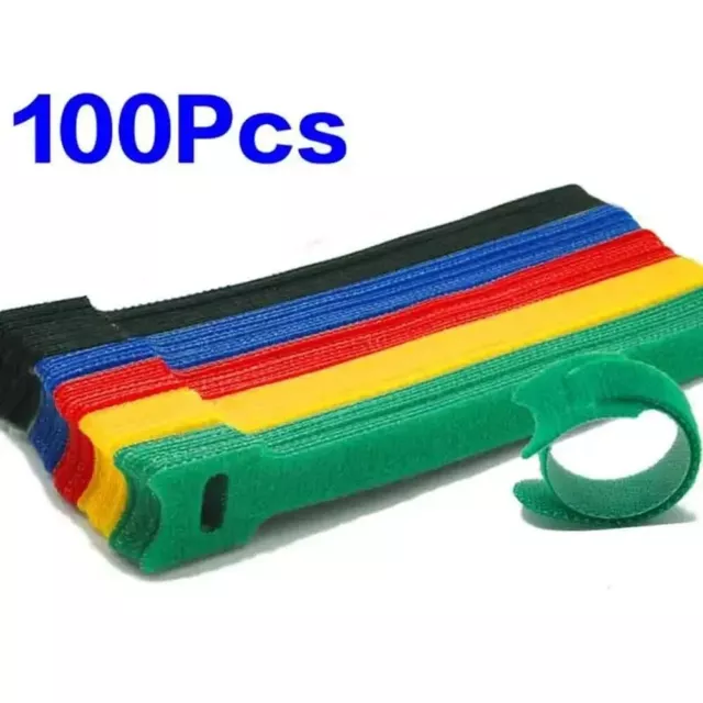 Attaches zippées colorées vives et fiables pour organiser un lot de 50 ou 100