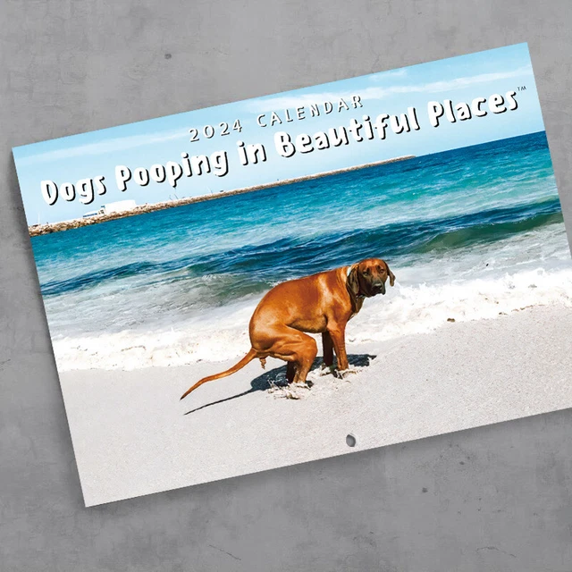 2023 2024 WALL CALENDAR Dog Pooping Calendar 2023 2024 July 2023