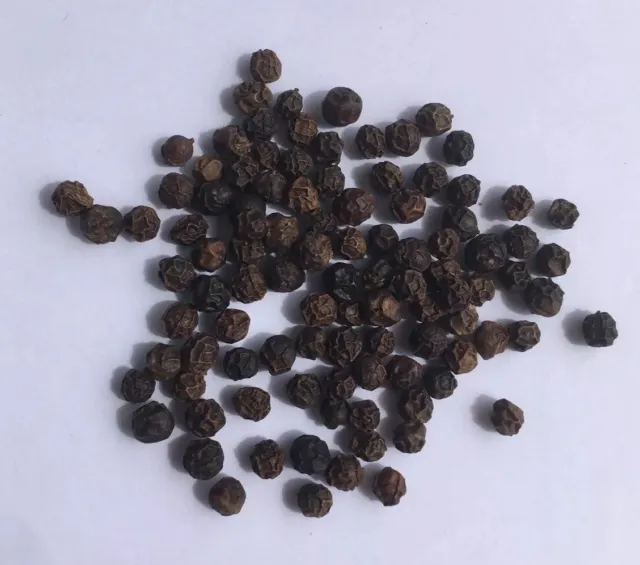 100 graines de Poivre Noir à planter Piper Nigrum bio sans OGM ni hybridation