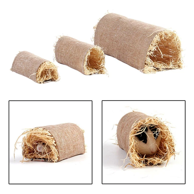 Hamster Tunnel & Tubes Hideout: für Hamster Mäuse Ratten Oder Andere