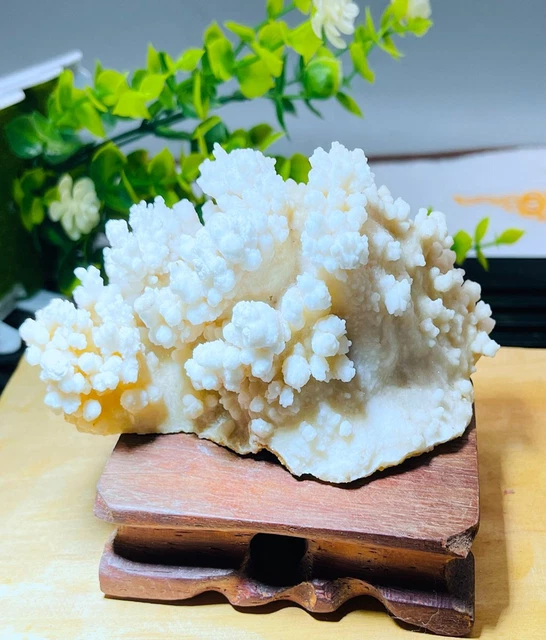 392g Natural stalactite quartz crystal energy healing mineral specimen