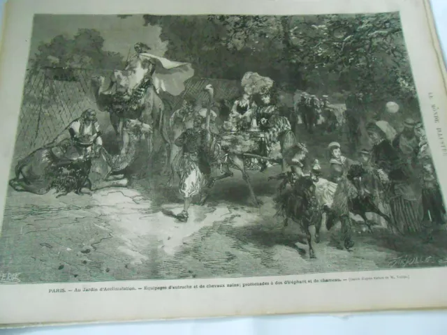 1872 engraving - Au Jardin Crews d'Ostriches & Dwarf Horses Walk
