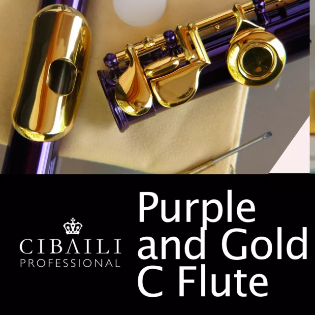 PURPLE and GOLD C foot Flute • BRAND NEW • Case • Perfect For School • EXPRESS •