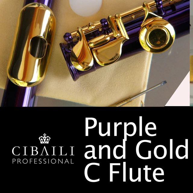 PURPLE and GOLD C foot Flute • BRAND NEW • Case • Perfect For School • EXPRESS •