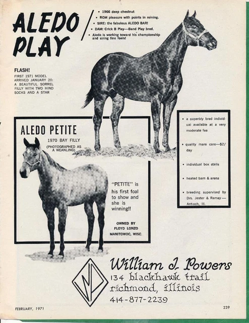 Magazine Ad - 1971 - William Powers Horse Farm, Richmond, IL - ALEDO PLAY