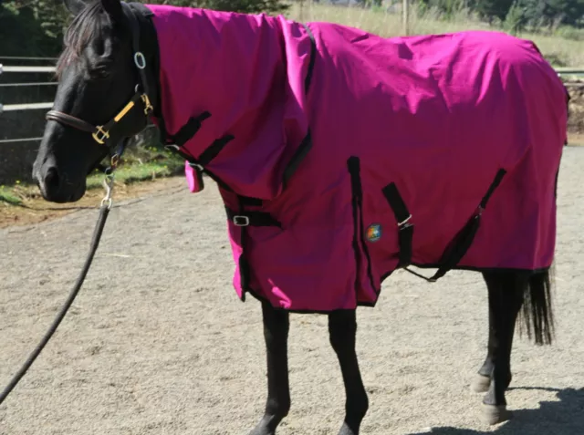 Premium Quality Horse Rug Rainsheet 600 D Combo Raspberry Sale