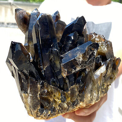 6.9LB Natural Beautiful Black Quartz Crystal Cluster Mineral Specimen