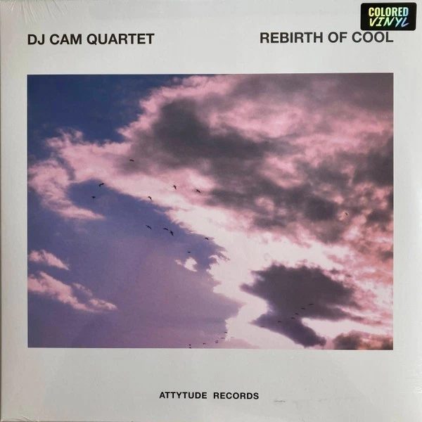 DJ CAM VINTAGE Beats 1999-2003 Lp Record $134.90 - PicClick