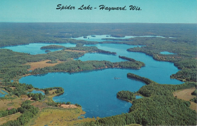 Vintage Chrome Postcard - Spider Lake in Hayward Wisconsin Aerial View