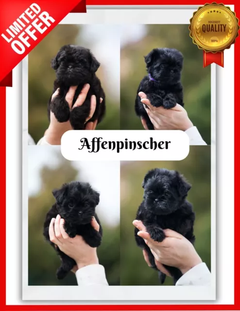 Affenpinscher Custom Dog Throw Blanket Personalized Photo Gift 30x40 50x60 60x80