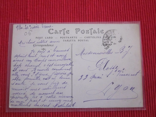 Cpa Written Cane View Stamp Taken From The Bocca 2