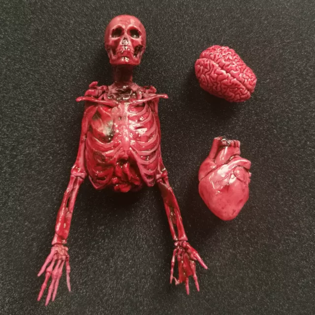 1:12 Scale Miniatures Dollhouse Heart Brain Skeleton Figure Halloween Decoration